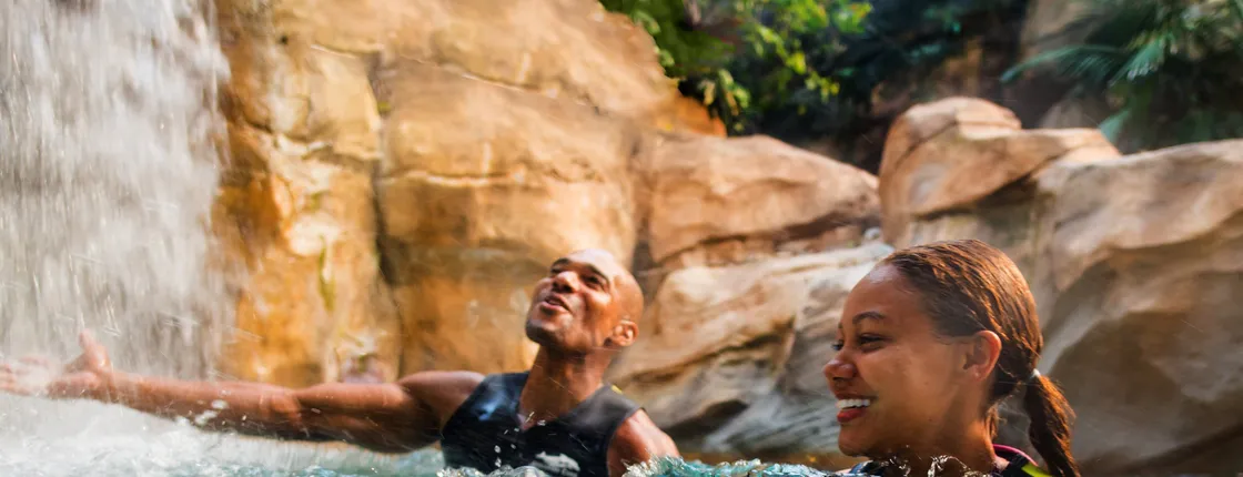 Discovery Cove Packages 2027
