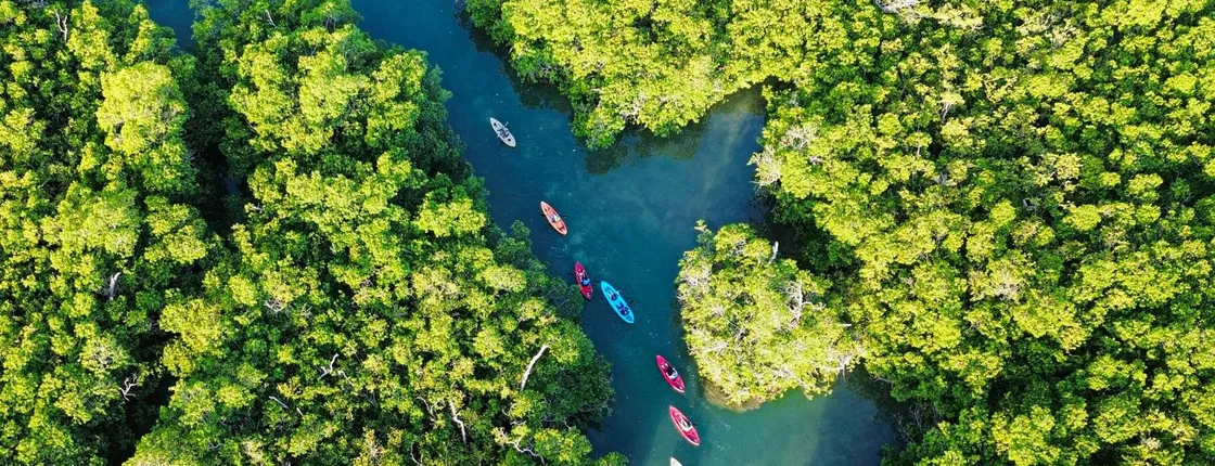 Cancun Nichupté Lagoon morning kayak experience
