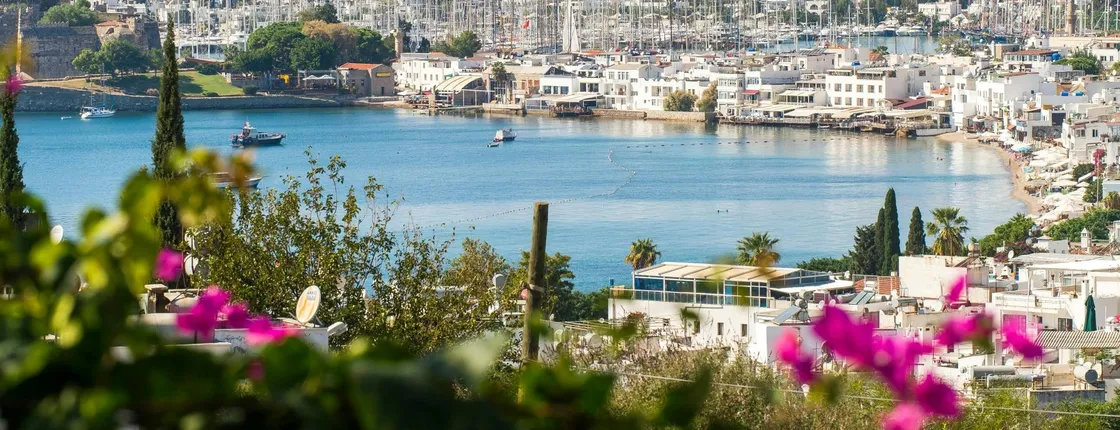Bodrum day trip with transport and optional guided city tour