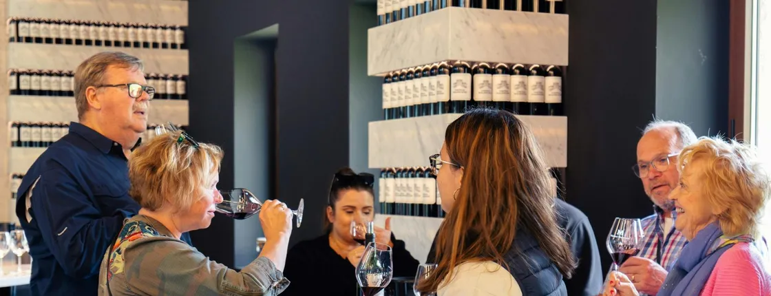 Half-day wine tour of the Medoc