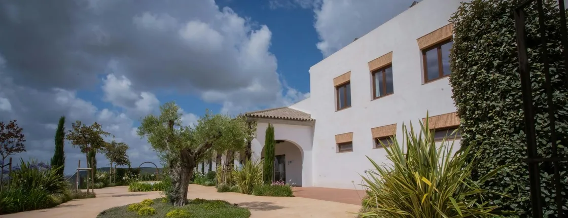 Winery morning in Andalusia with vines, wine and live guitar