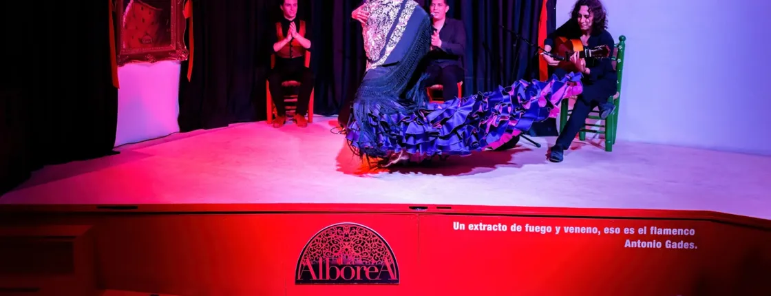 Traditional flamenco show in a historic center tablao in Granada