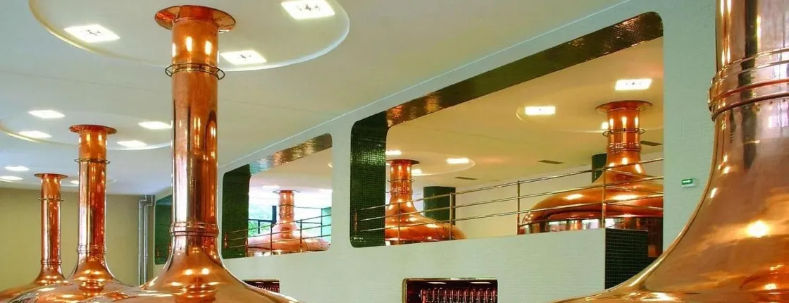 Nizbor glass factory and Pilsner Urquell brewery tour day trip