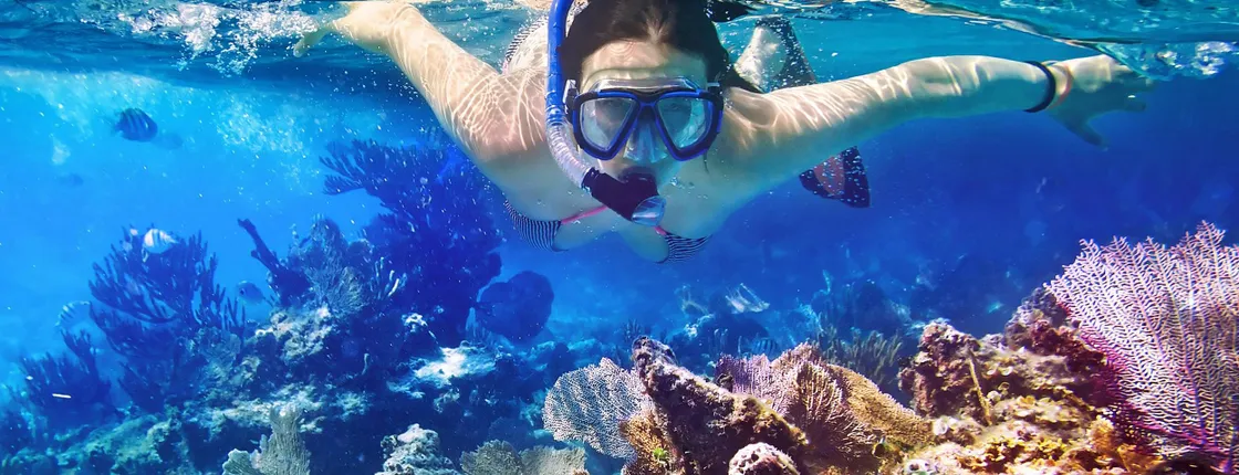 Guided snorkel tour with oceanographers