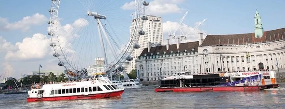 Harry Potter Walking Guided Tour with Thames Cruise and London Eye