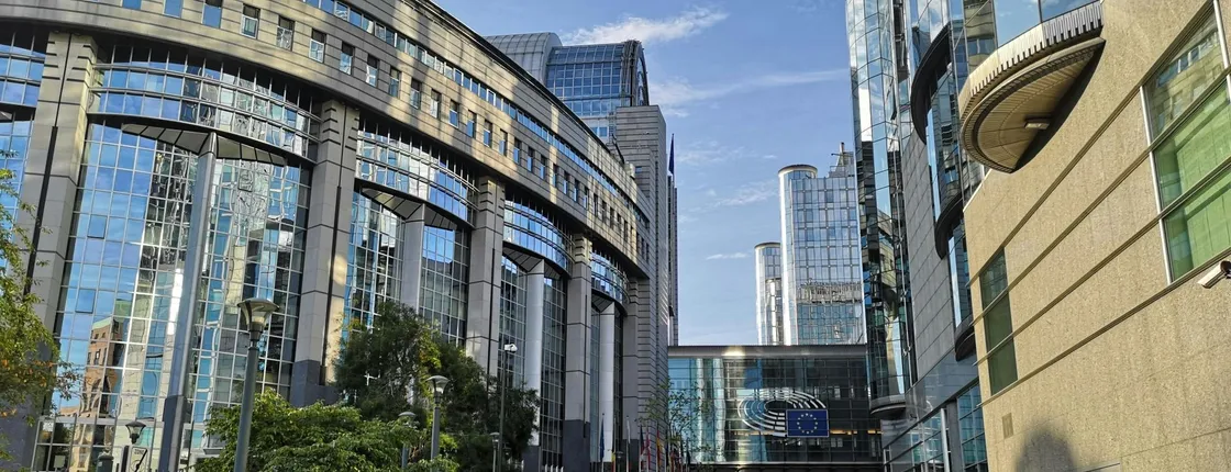 Brussels sightseeing private walking tour