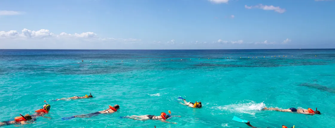 Turtle Snorkelling, Cenote Swim & Beach Club Experience