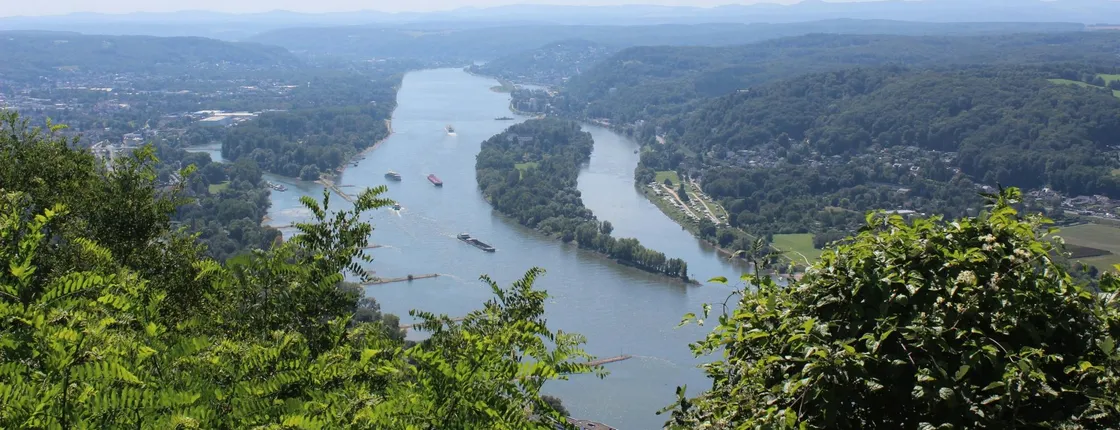 Scenic boat tour between Bonn and Königswinter