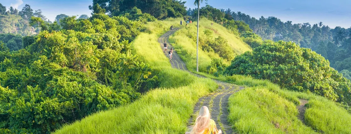 Ubud highlights full-day tour with monkey forest and rice terraces