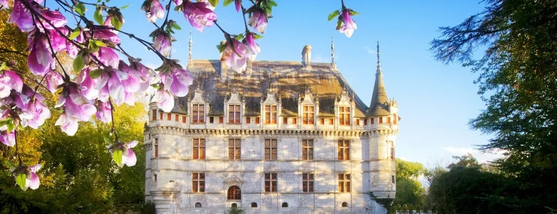 Azay-le-Rideau Castle guided half-day tour from Tours