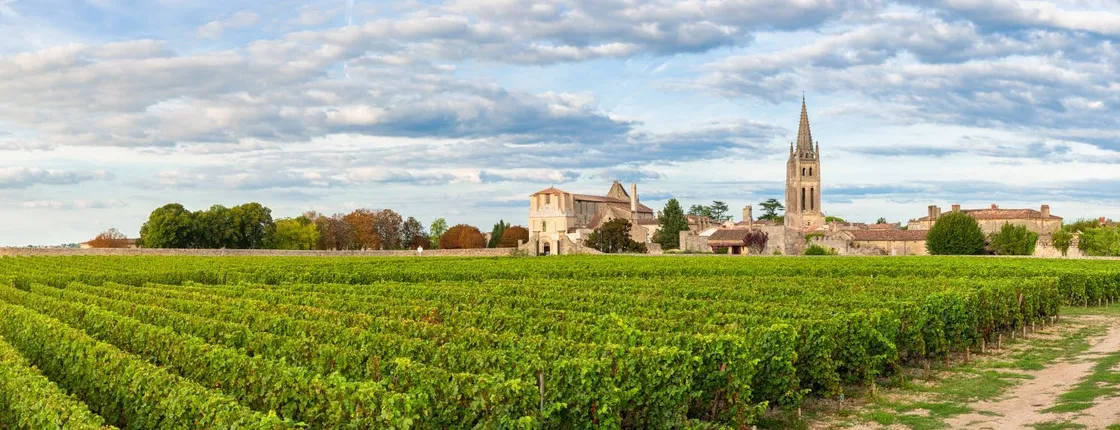 Bordeaux wine tour with chateau visit and tasting