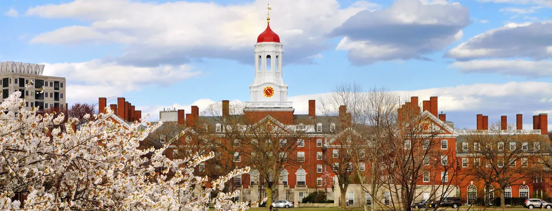 Harvard Square food tour