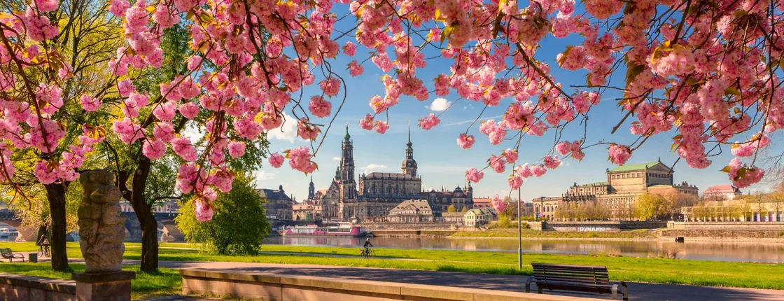 Tour of Dresden's most photogenic spots with a local