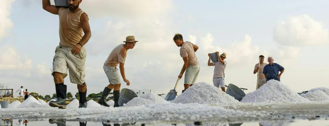 Trapani salt pans, museum and windmill guided tour