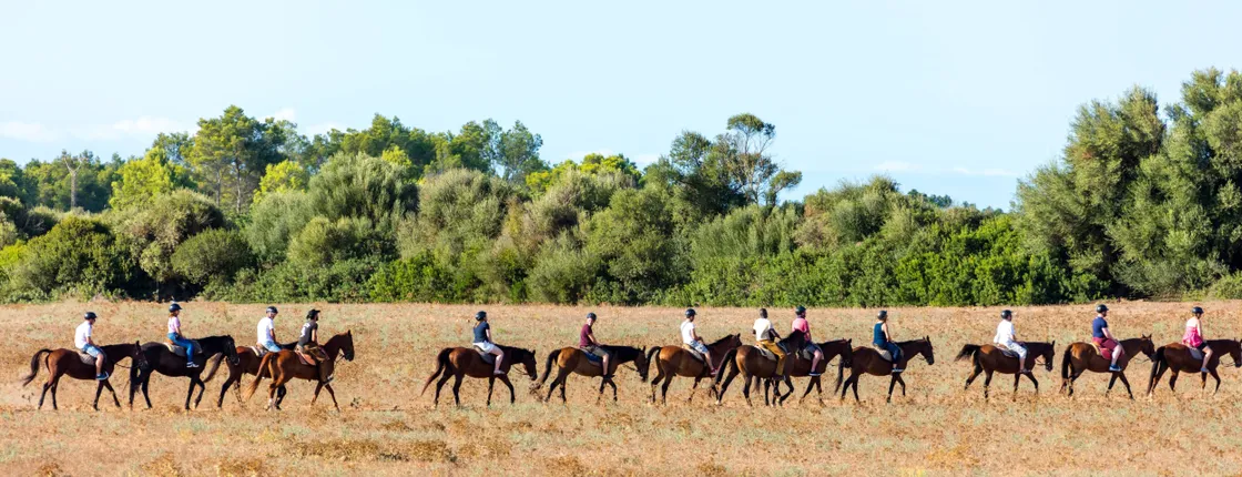 Rancho Grande two-hour horse riding in Majorca without transfer