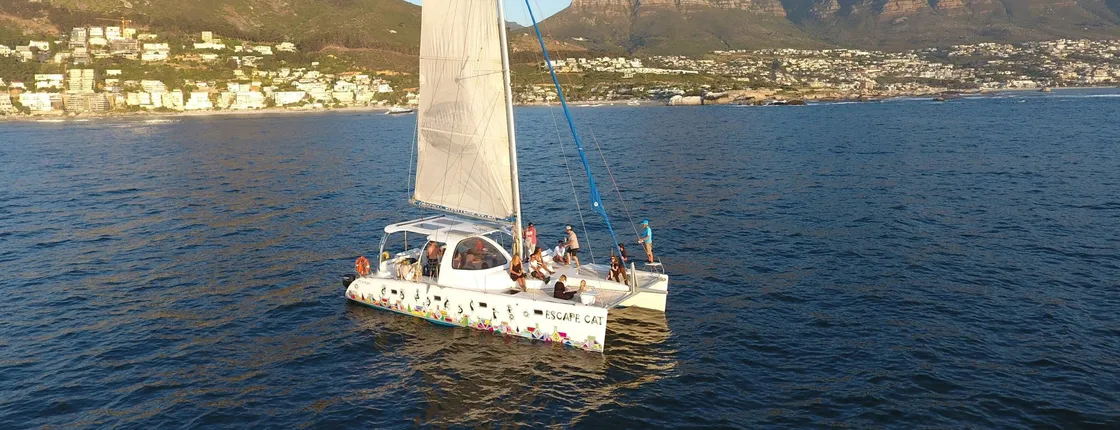 1-hour Catamaran Tour in Cape Town Bay