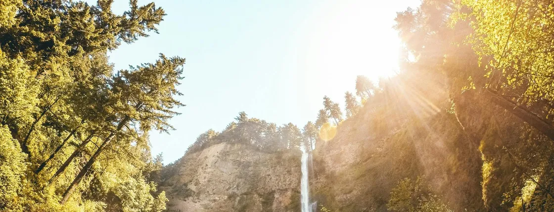 Columbia Gorge Waterfalls Botanical Discovery Hike