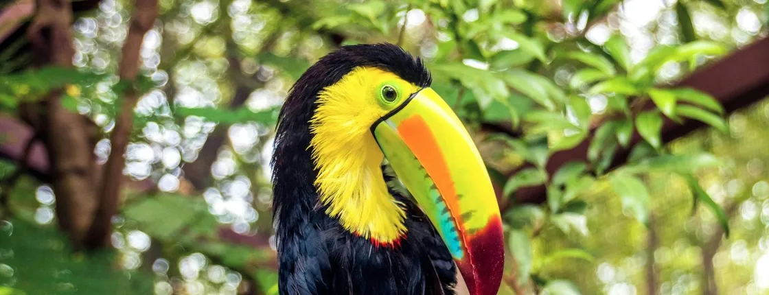 Diamante Eco Park Animal Sanctuary Discovery Ticket