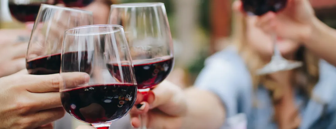 Half-day tour of Peljesac with wine tasting and visit of Ston city