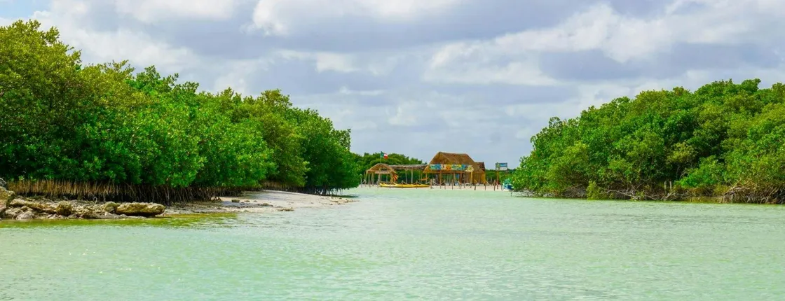 Isla Columpios half-day trip with pick-up from Mérida