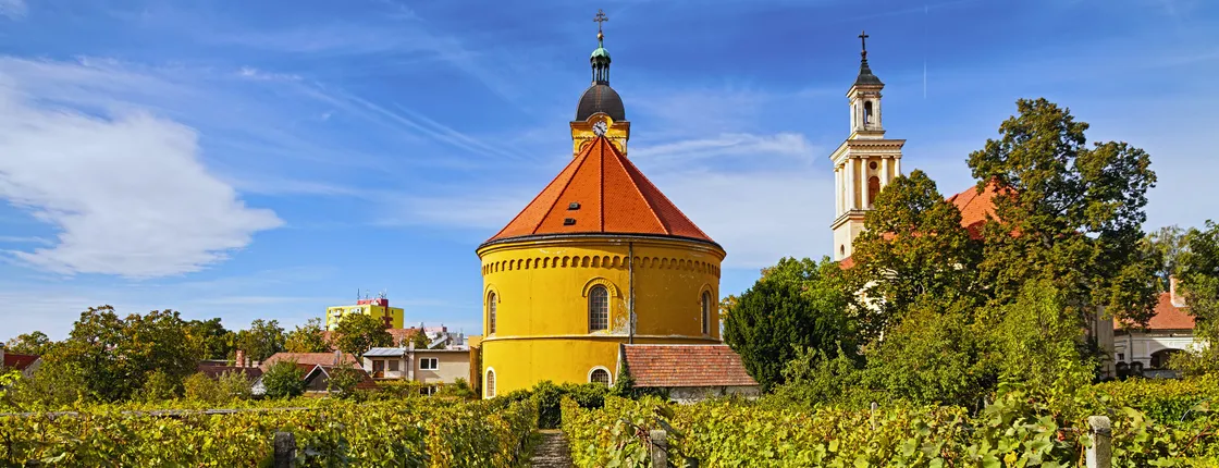 Small Carpathian wine tour from Bratislava