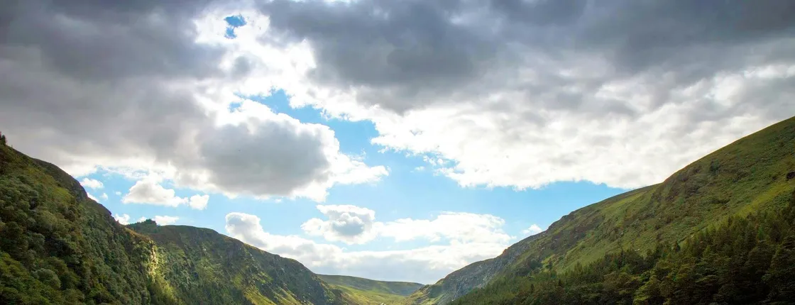 Glendalough, Wicklow, Kilkenny and sheepdog herding from Dublin