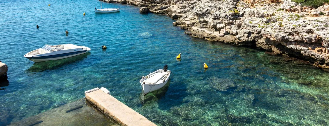 Full-day guided tour of Mahon with boat trip and Binibeca visit