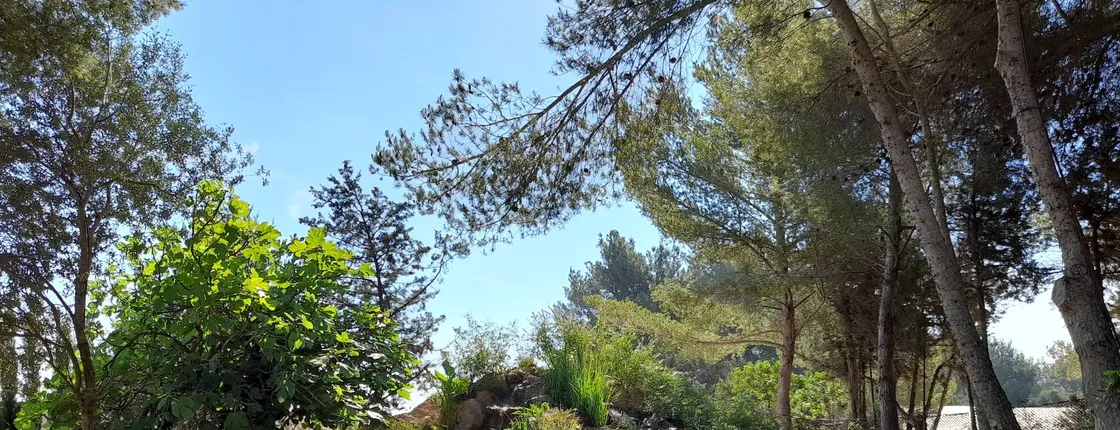 Ibiza Biotechnological Botanical Garden Ticket