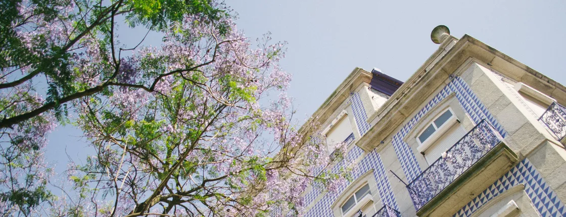 Porto's most photogenic spots walking tour with a local