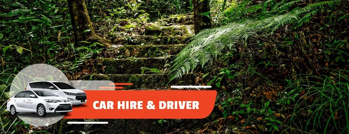 Full-Day Car Hire and Driver from Hoi An Center to Bach Ma