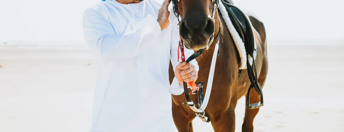 Horseback ride through Dubai desert park