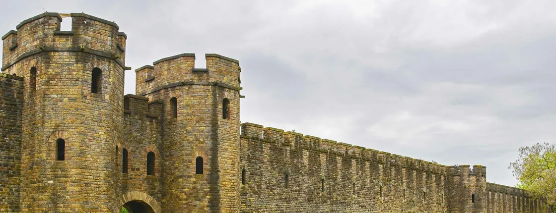 Cardiff 1-hour tour with a local