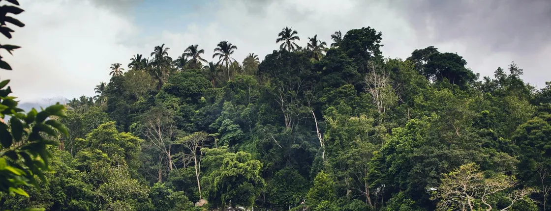 Northern Bali Private Tour