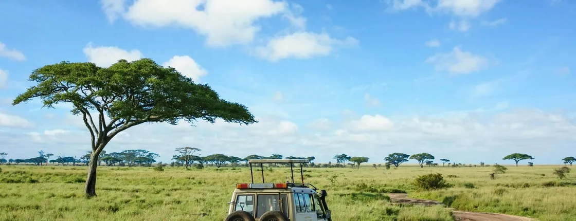 Serengeti and Ngorongoro Crater private 4-day safari from Zanzibar