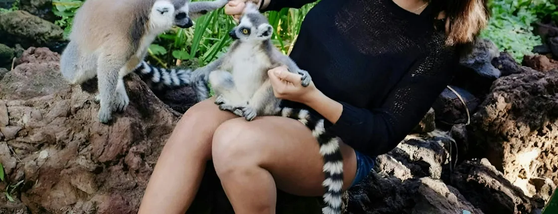 Oasis Wildlife Fuerteventura entrance with lemur experience
