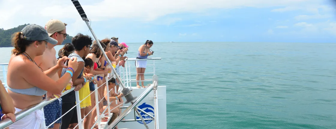 Biesanz Bay Catamaran Cruise with transport