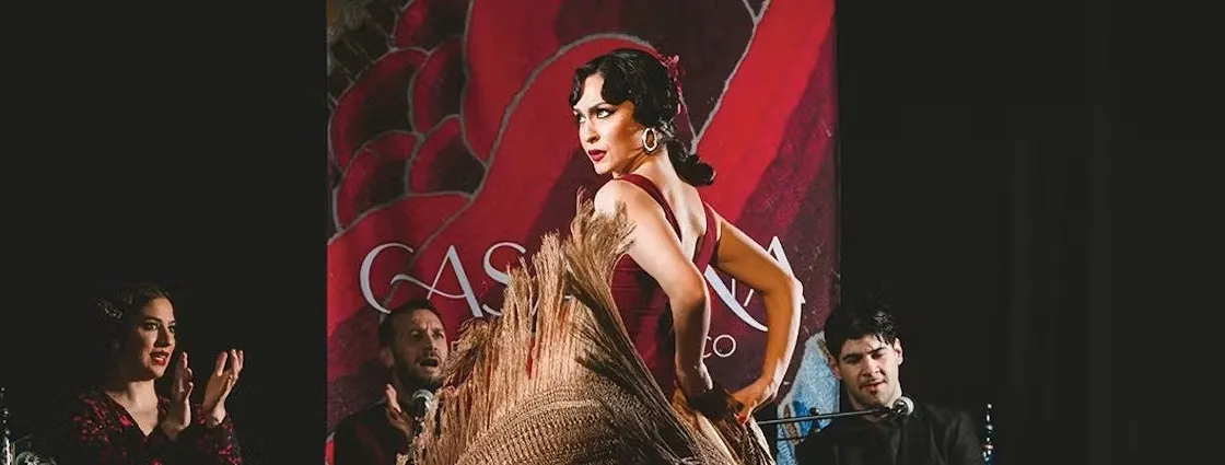 Traditional Flamenco Show at Tablao Casa Ana in Granada