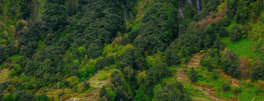 Levada do Alecrim and Lagoa do Vento self-guided experience