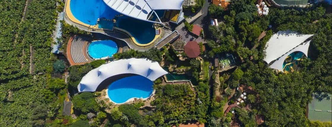 Tickets to Loro Parque in Tenerife