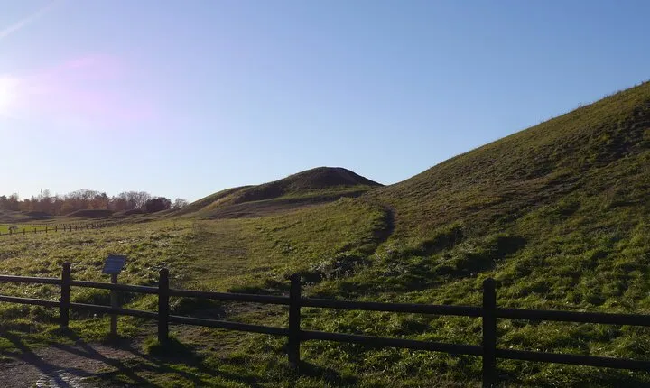 Guided tour 90min at Old Uppsala mounds and old Uppsala church