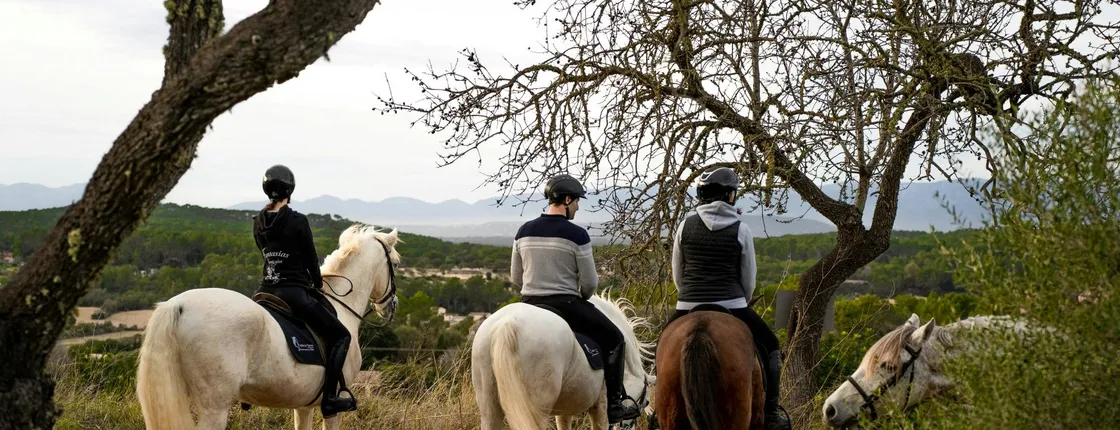 Sunset horseback ride with drinks in Mallorca