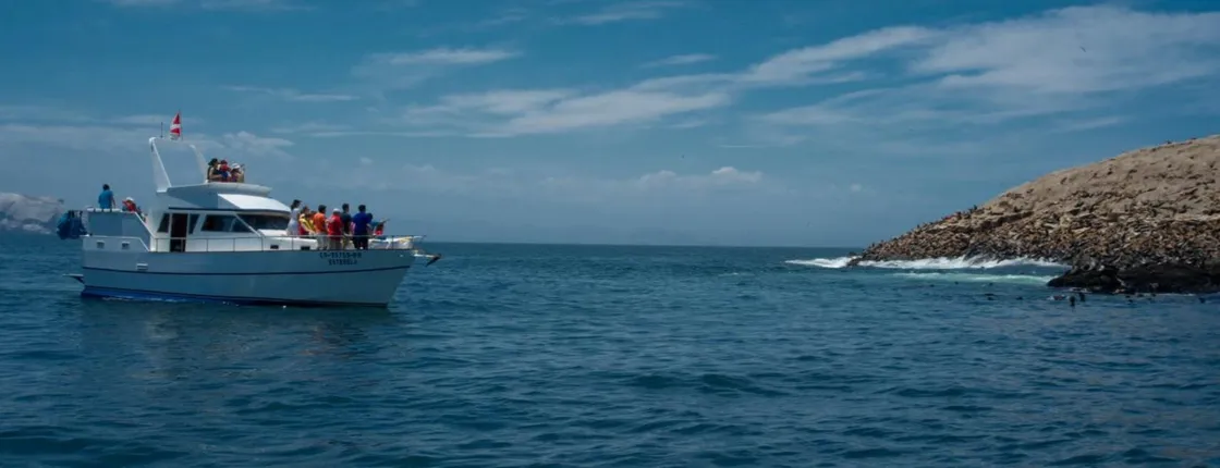 Palomino Islands Boat Tour