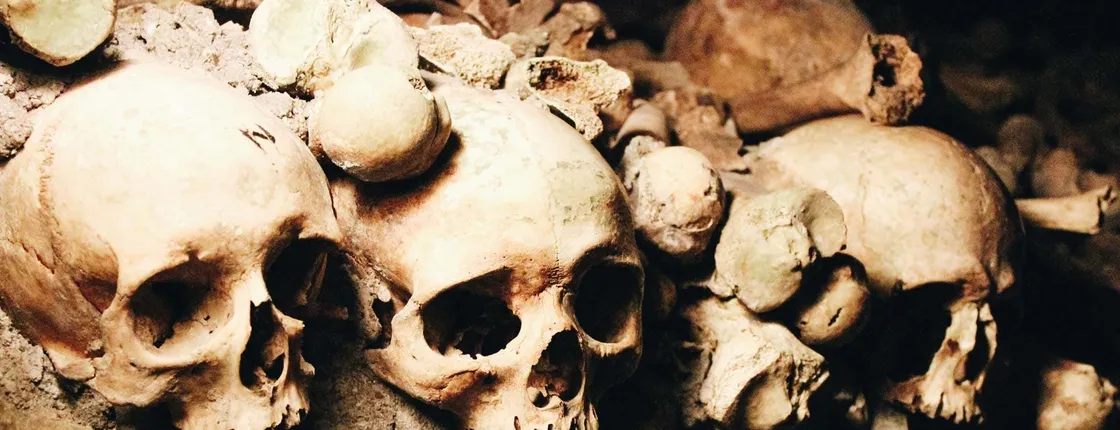 Catacombs of Paris skip-the-line tickets with audio tour on mobile app