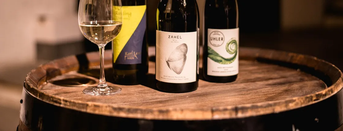 Viennese wine tasting in a roman wine-cellar