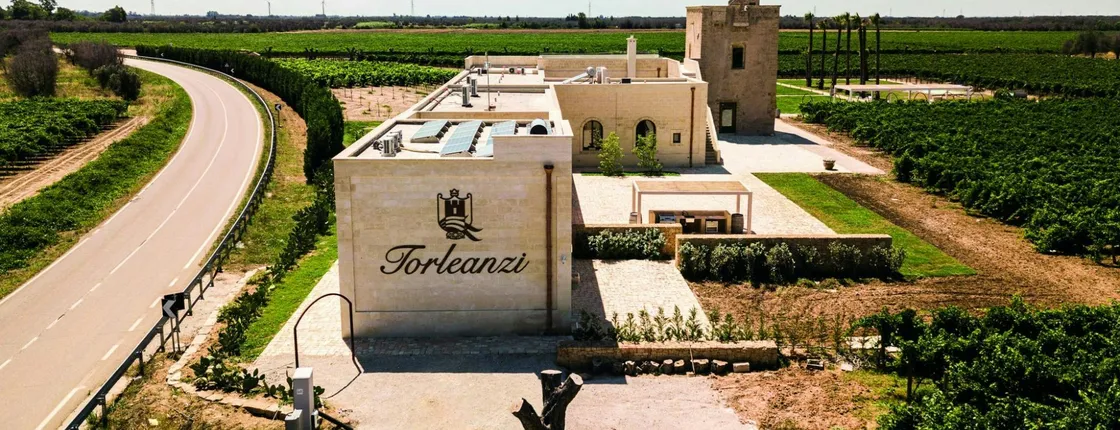 Guided tasting of six wines with a sommelier at Masseria Torleanzi
