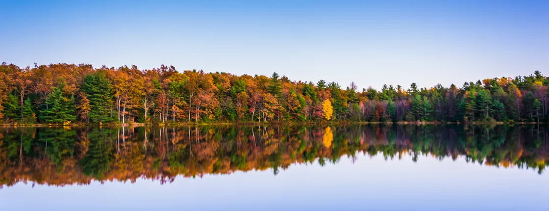 Michaux State Forest half-day bike tour