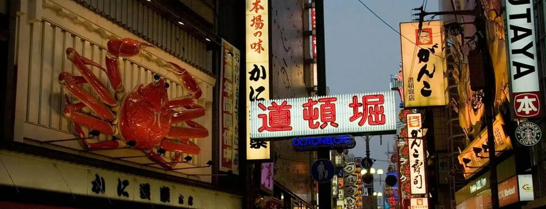 Absolute Osaka food tour