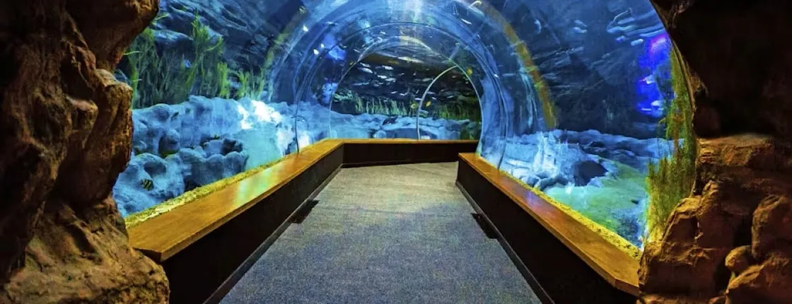Poema del Mar Aquarium skip-the-line tickets