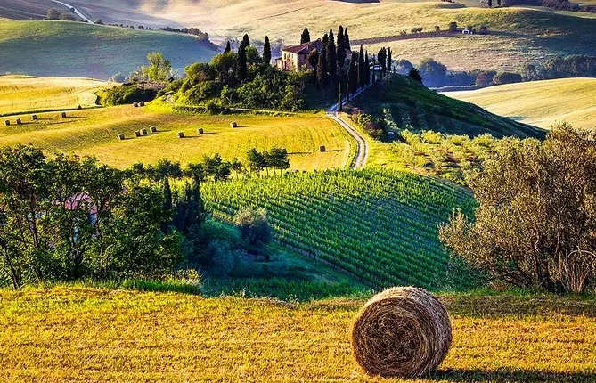Val d’Orcia Wine Tour with Lunch & Brunello from Florence