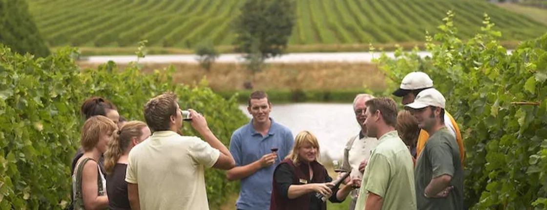Visit to two wineries in La Rioja with pintxos from Vitoria